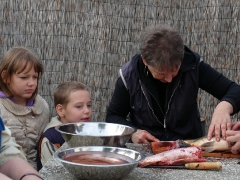 cshe_halfozo_2012_23