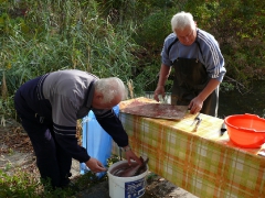 cshe_halfozo_2012_28