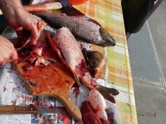 cshe_halfozo_2012_29