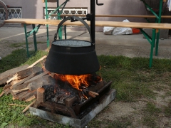 cshe_halfozo_2012_33