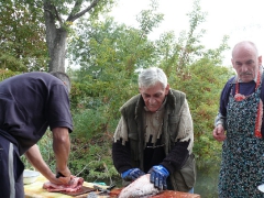 cshe_halfozo_2012_41