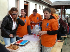 cshe_halfozo_2012_46