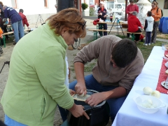 cshe_halfozo_2012_48