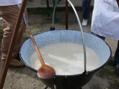 cshe_halfozo_2012_55