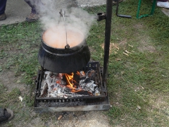 cshe_halfozo_2012_68