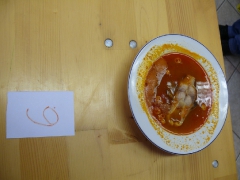 cshe_halfozo_2012_71