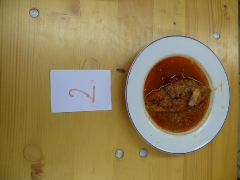 cshe_halfozo_2012_75