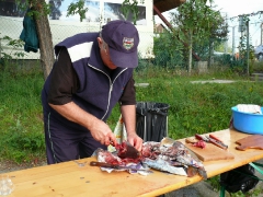 cshe_halfozo_2013-11