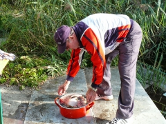 cshe_halfozo_2013-13