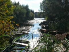 cshe_halfozo_2013-14