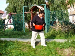 cshe_halfozo_2013-16