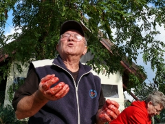 cshe_halfozo_2013-17