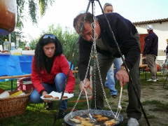 cshe_halfozo_2013-39