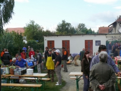 cshe_halfozo_2013-41