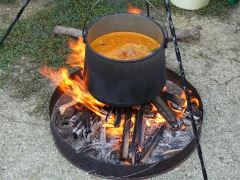 cshe_halfozo_2013-47