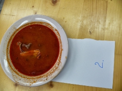 cshe_halfozo_2013-53