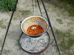 cshe_halfozo_2013-75