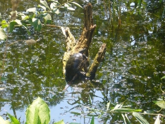 gyermektabor2007_103