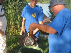 ifjusagi_tabor_2013-35