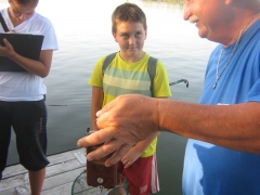 ifjusagi_tabor_2013-54