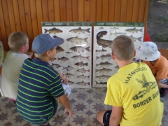 ifjusagi_tabor_2014-100