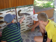 ifjusagi_tabor_2014-101