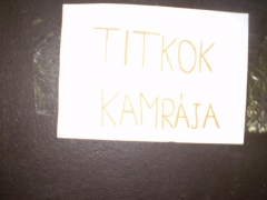 ifjusagi_tabor_2014-110