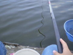 ifjusagi_tabor_2014-23