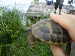 ifjusagi_tabor_2014-24