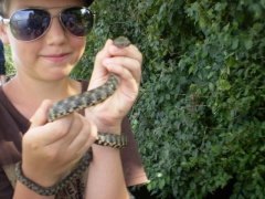 ifjusagi_tabor_2014-26