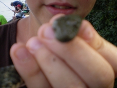 ifjusagi_tabor_2014-27