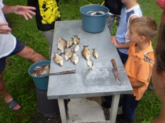 ifjusagi_tabor_2014-34