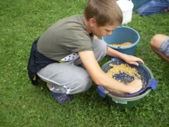 ifjusagi_tabor_2014-42