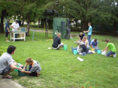 ifjusagi_tabor_2014-47