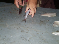 ifjusagi_tabor_2014-57