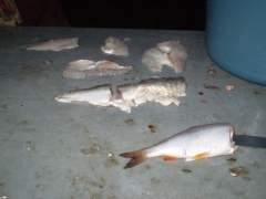 ifjusagi_tabor_2014-58