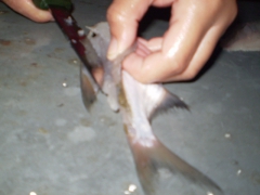 ifjusagi_tabor_2014-59