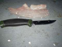 ifjusagi_tabor_2014-61