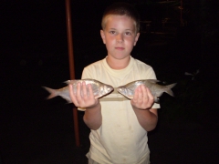 ifjusagi_tabor_2014-64