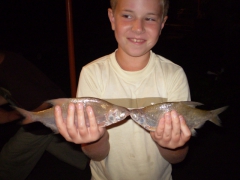 ifjusagi_tabor_2014-65