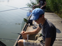 ifjusagi_tabor_2014-74