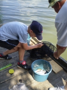 ifjusagi_tabor_2014-91