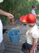 ifjusagi_tabor_2014-94