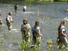 lengyel_tabor_2016-31