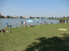 halfozo_verseny_2019_10