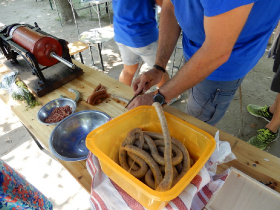 halfozo_verseny_2019_17