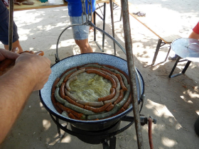 halfozo_verseny_2019_18