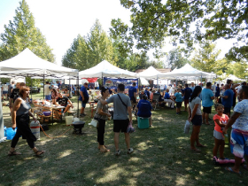 halfozo_verseny_2019_20