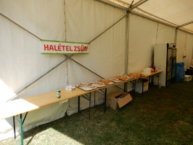 halfozo_verseny_2019_47