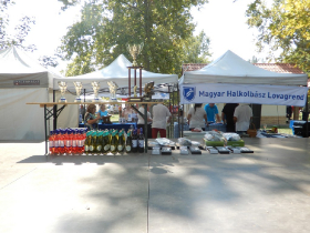halfozo_verseny_2019_8